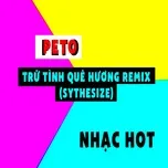 Trữ Tình Quê Hương (Synthesize)