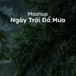 Mashup Ngày Trời Đổ Mưa
