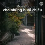 Mashup Cho Những Buổi Chiều