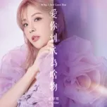 Vì Sao Em Chỉ Yêu Anh / 爱你到底为啥物