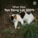 Nhạc Hoa Tạo Động Lực 100% 