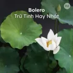 Bolero Trữ Tình Hay Nhất
