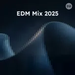 EDM Mix 2025