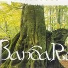 Bandari | NhacCuaTui