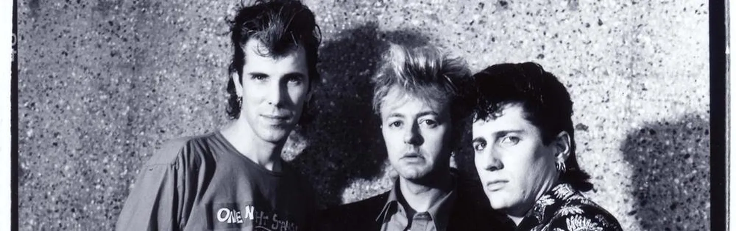Stray Cats
