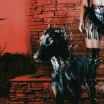 mutt