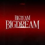 bigteam bigdream
