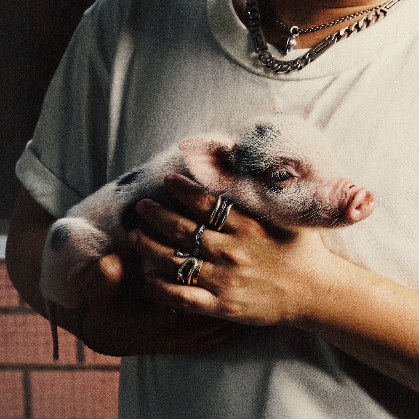 we don't know everything